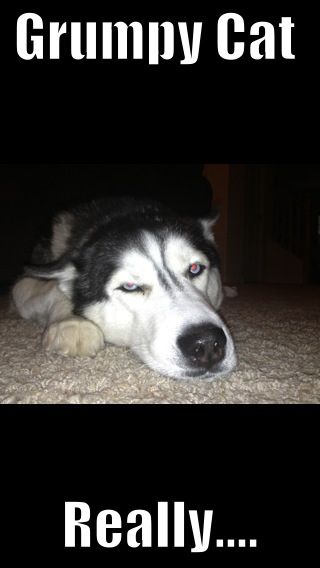 d4b18c4eb8fc439969cdebd6e488781a